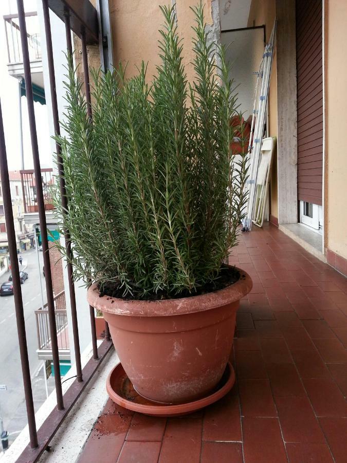 La Via Per Milano Hotel Vigevano Luaran gambar